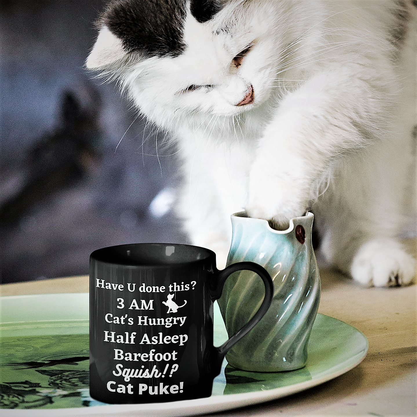 funny cat mug, cat videos, carpet cleaner for pets, cat beds, cat lover gift