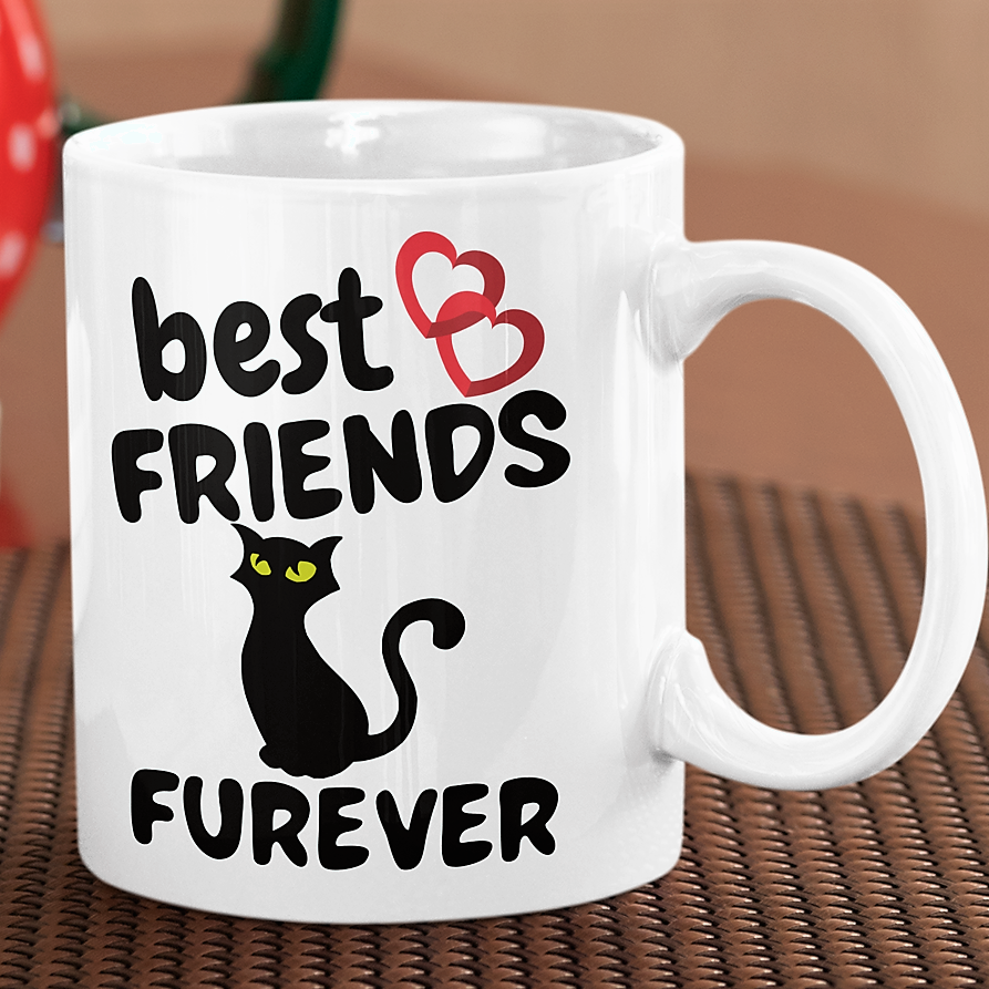 valentines day gift | best friend gift | gift for friend | funny cat mug | funny cat videos