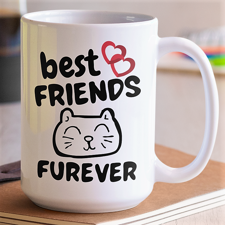 best friend gift | gift for friend | funny cat mug | funny cat videos | coffee mug for friend