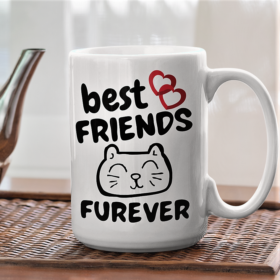 best friend gift | gift for friend | funny cat mug | funny cat videos