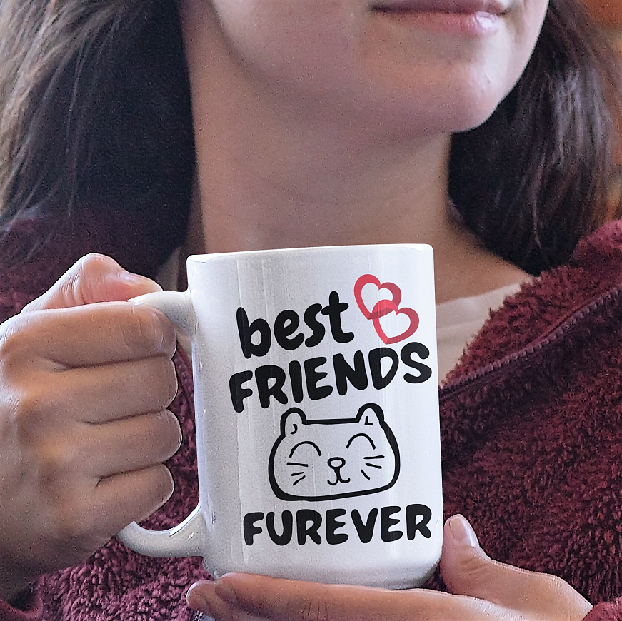 best friend gift | gift for friend | funny cat mug | funny cat videos