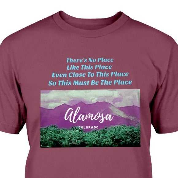 There's No Place Like This Place Even Close To This Place So This Must Be The Place Alamosa Colorado T-shirt