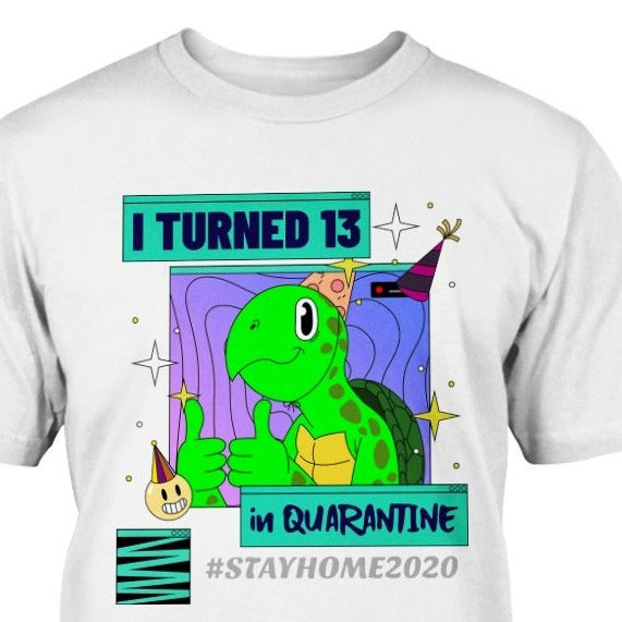 i turned 13 in quarantine turtle t-shirt unique gift