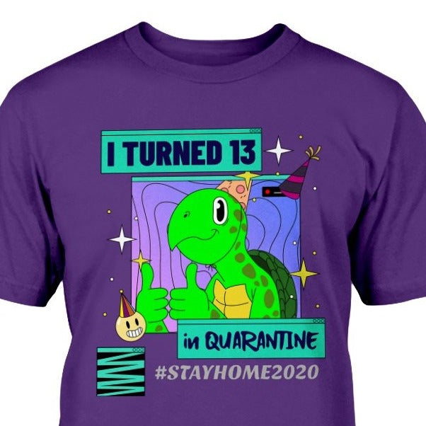 13th birthday t-shirt turtle 